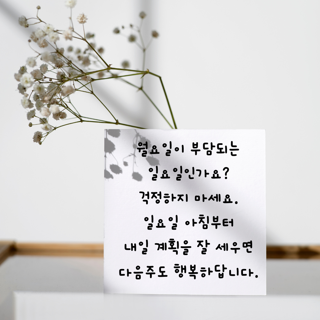 일요일 아침 인사말 이미지 문구 모음집