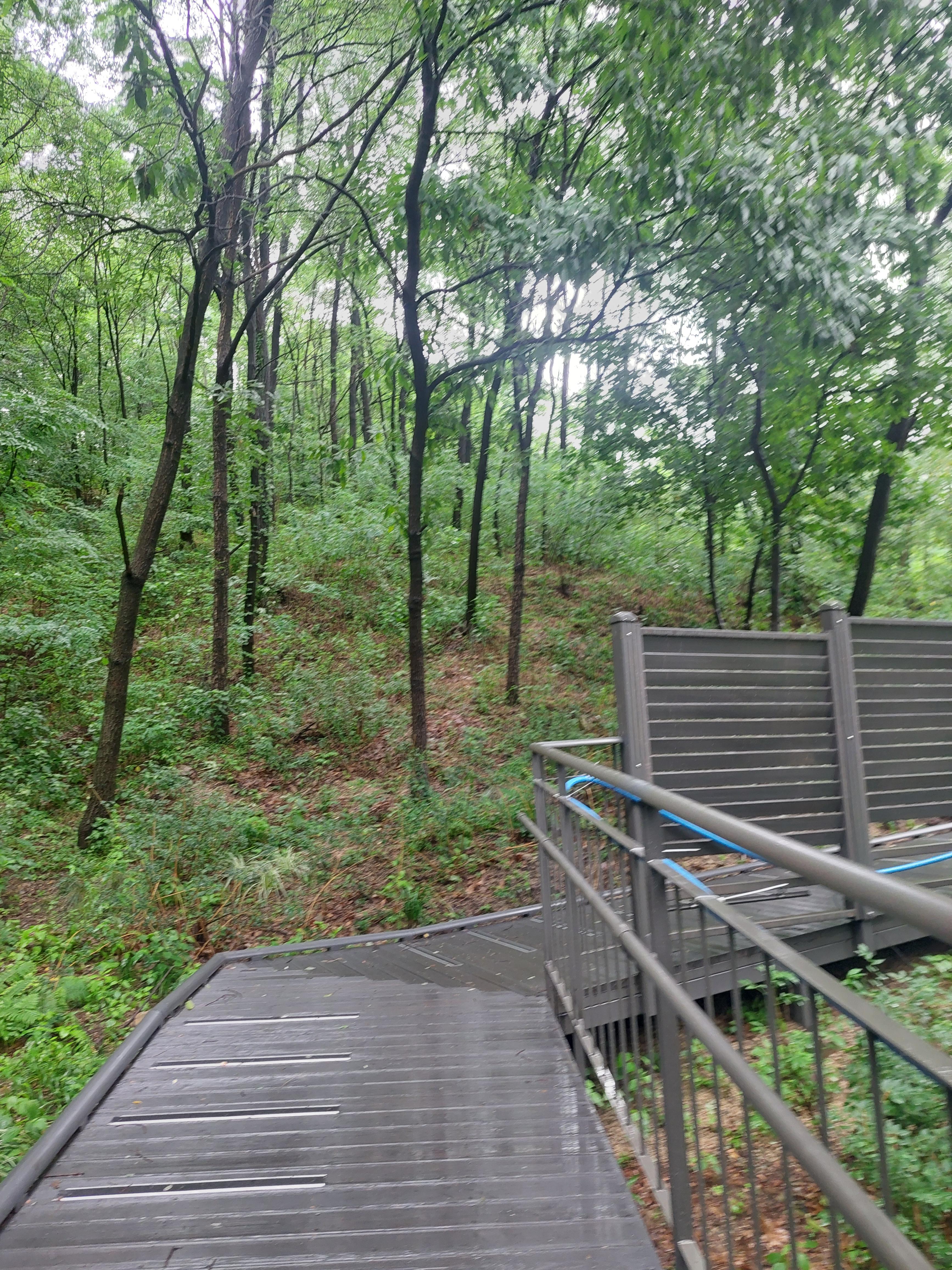 남산매봉산