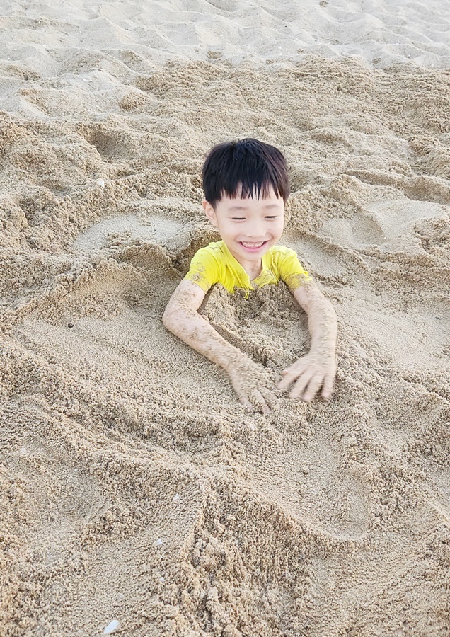 모래 구멍으로 쏙들어간 쿠웅이