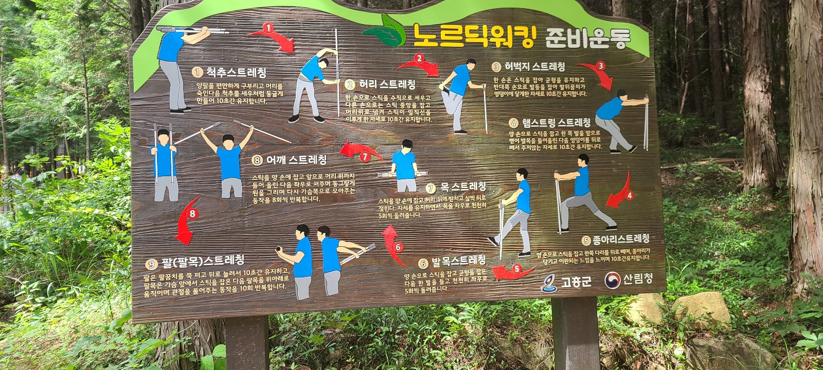 고흥-편백-치유의-숲