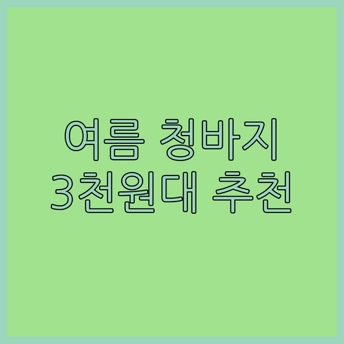 여름 청바지 고민 끝 3천원대 가성비