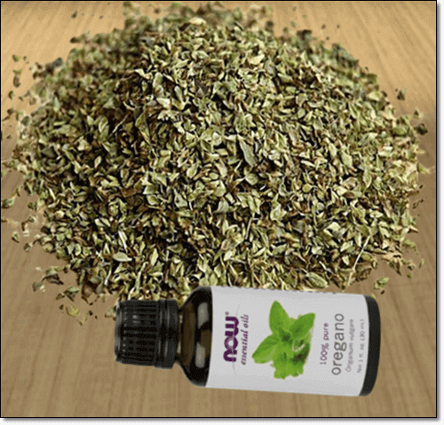 오레가노 효능 및 영양 성분 먹는 법과 부작용