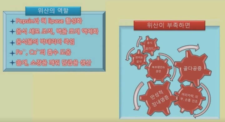 위산이 역할과 위산이 없을 때 문제점 그림
