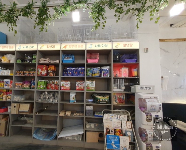 버드 힐링 카페