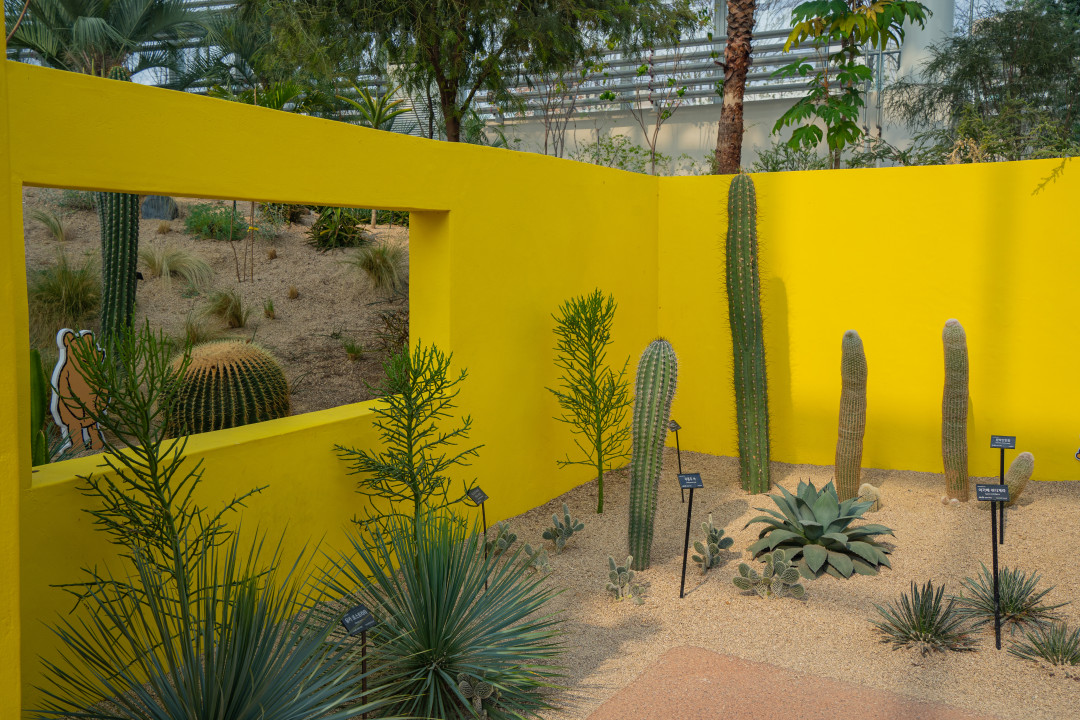 일월 수목원 산책로