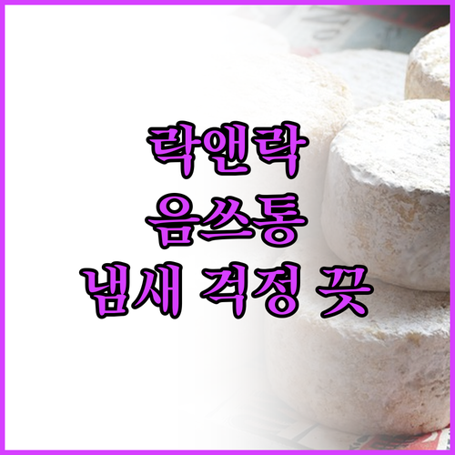 락앤락 음식물 쓰레기통 비교 추천 냄..
