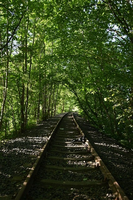 동대구역 신경주역 북울산역 태화강역 남창역 운행 무궁화호 누리로 열차 운행 시간표 운임 요금2