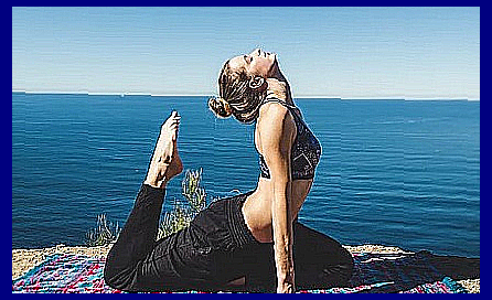 시네트롤 자몽오렌지 다이어트