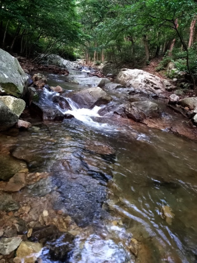 국립 용현자연휴양림 계곡