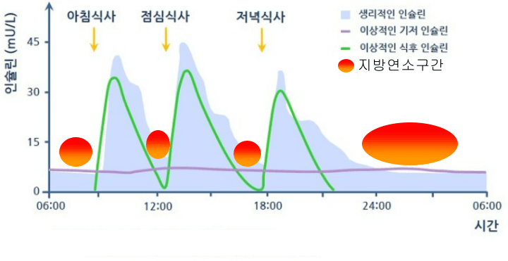 식사후-인슐린-수치변화