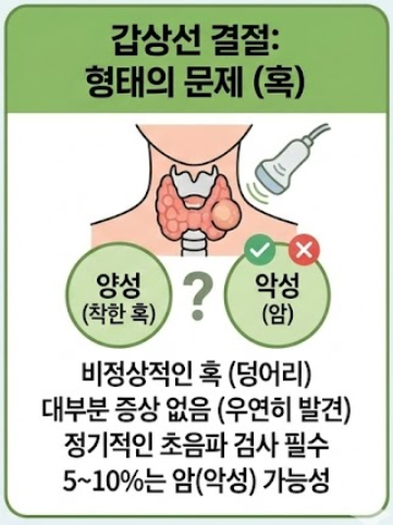 갑상선에 좋은 음식
