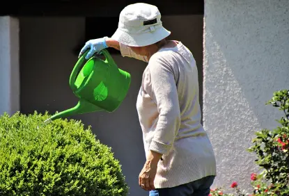실버타운 가격대별 추천11
