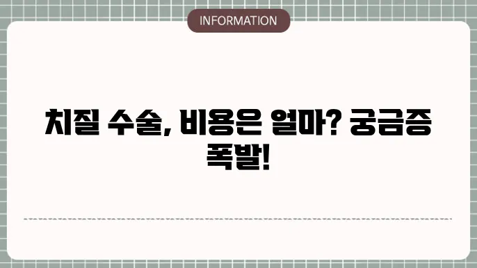 치질 수술 비용 디시