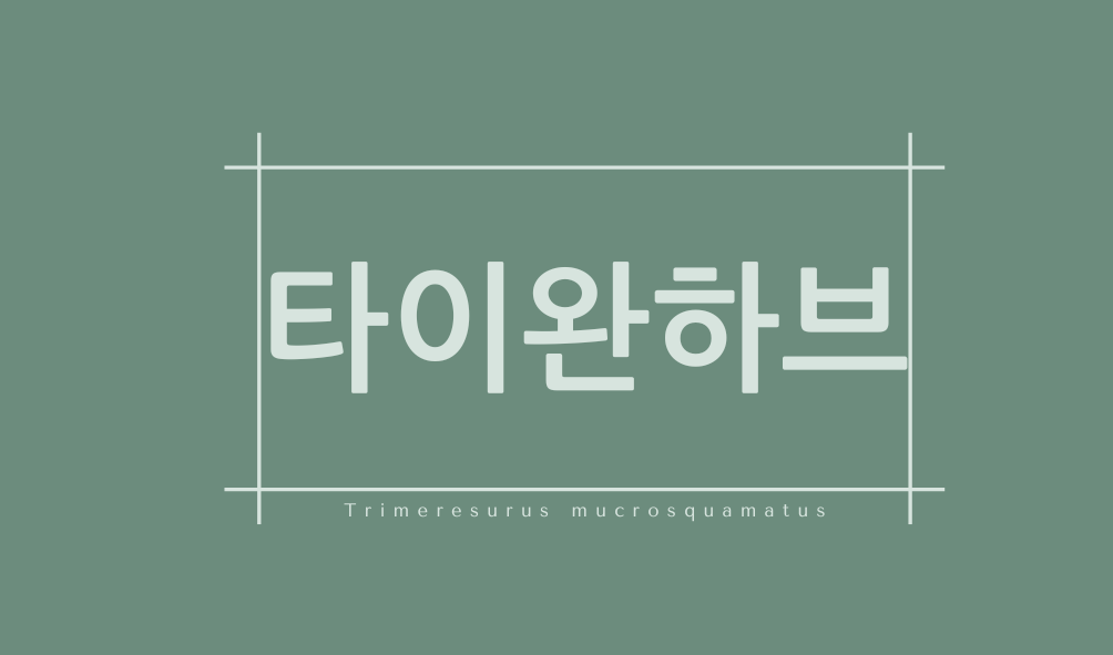 타이완하브(Trimeresurus mucrosquamatus)