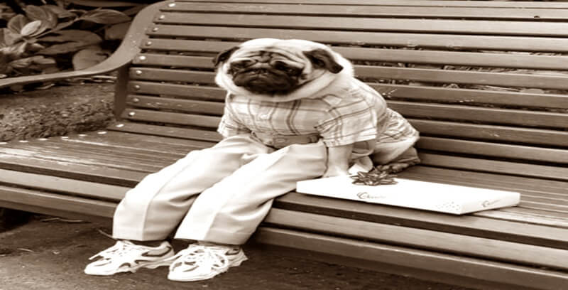 앉아 있는 꿈해몽 13가지 태몽 길몽 길운 총정리 첫번째