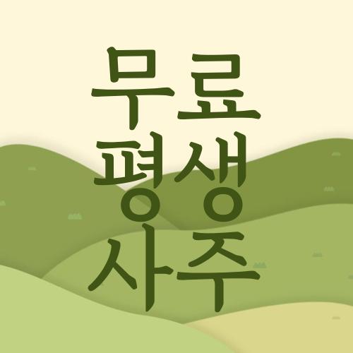 무료 평생 사주