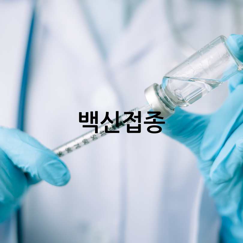 A형독감과 B형독감 차이