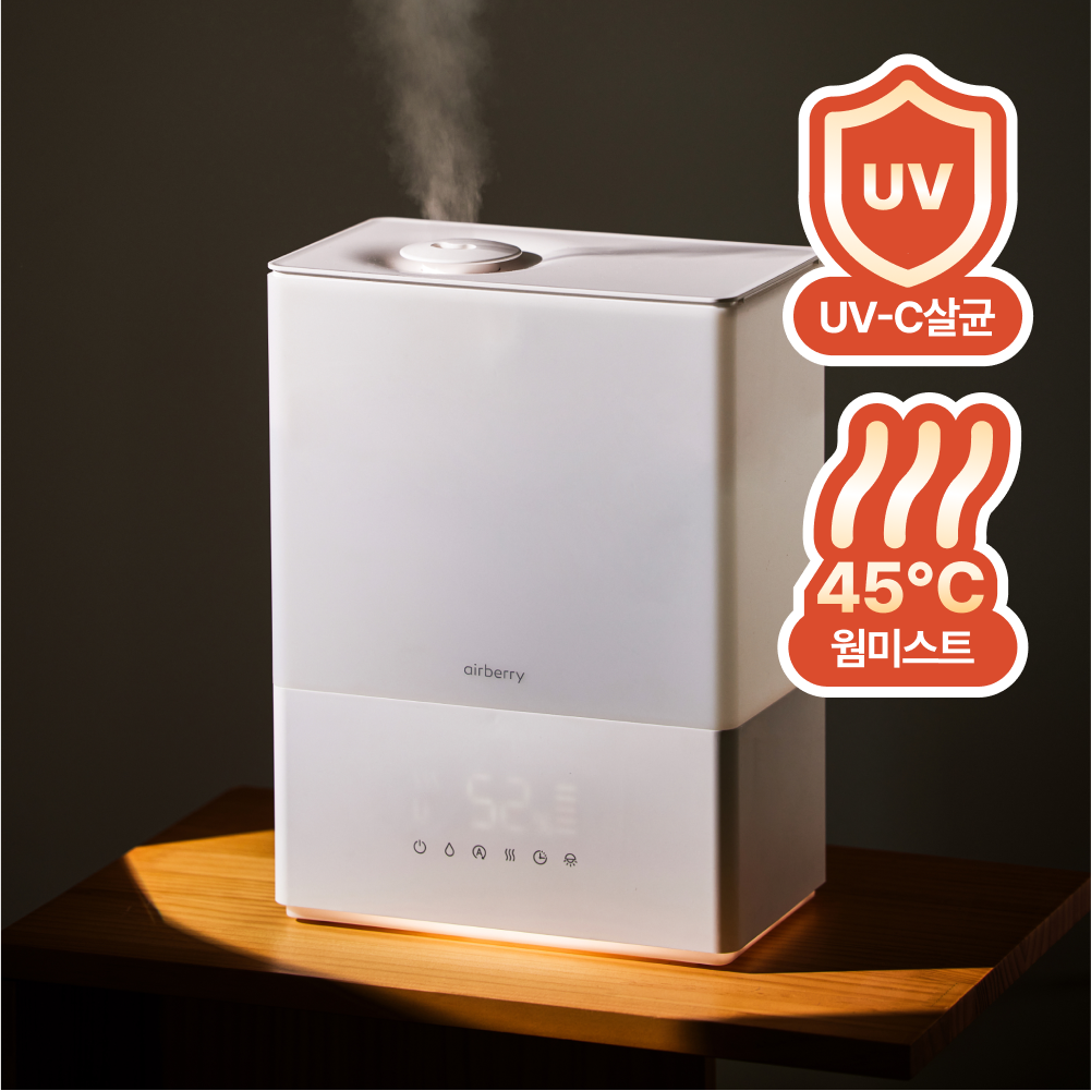 에어베리 웜히팅 가습기 룸미스트 복합식 살균 대용량 초음파 가열식 육아출산 가습기 6L