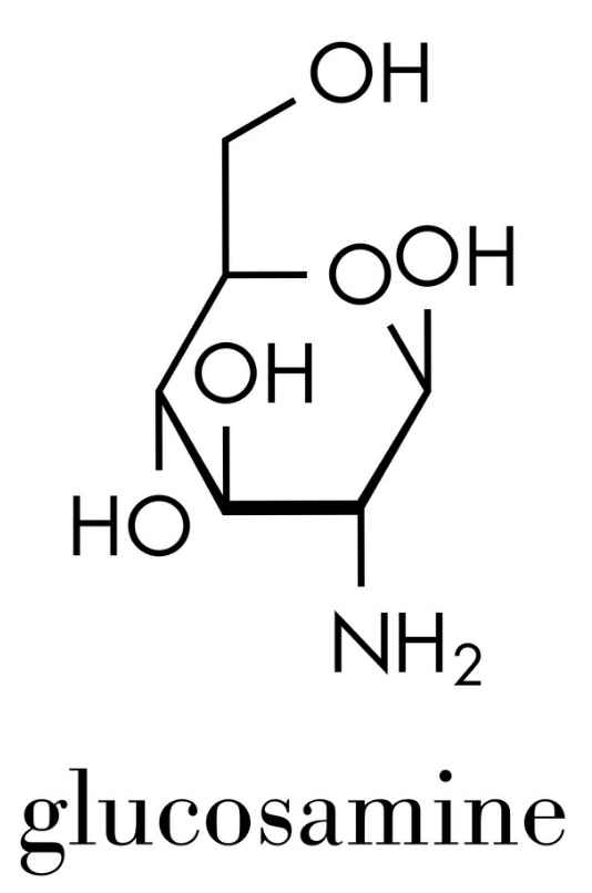 글루코사민 효능&amp;#44; 부작용&amp;#44; 복용법&amp;#44; 추천 상품