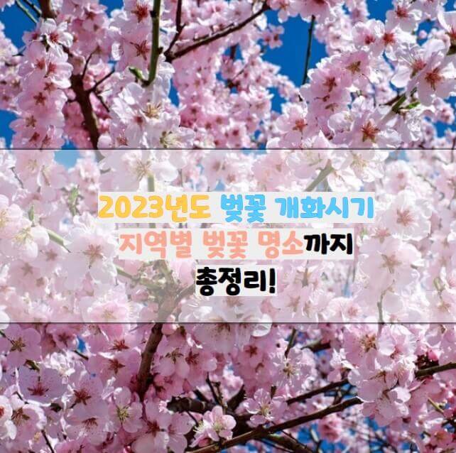 벚꽃 개화시기