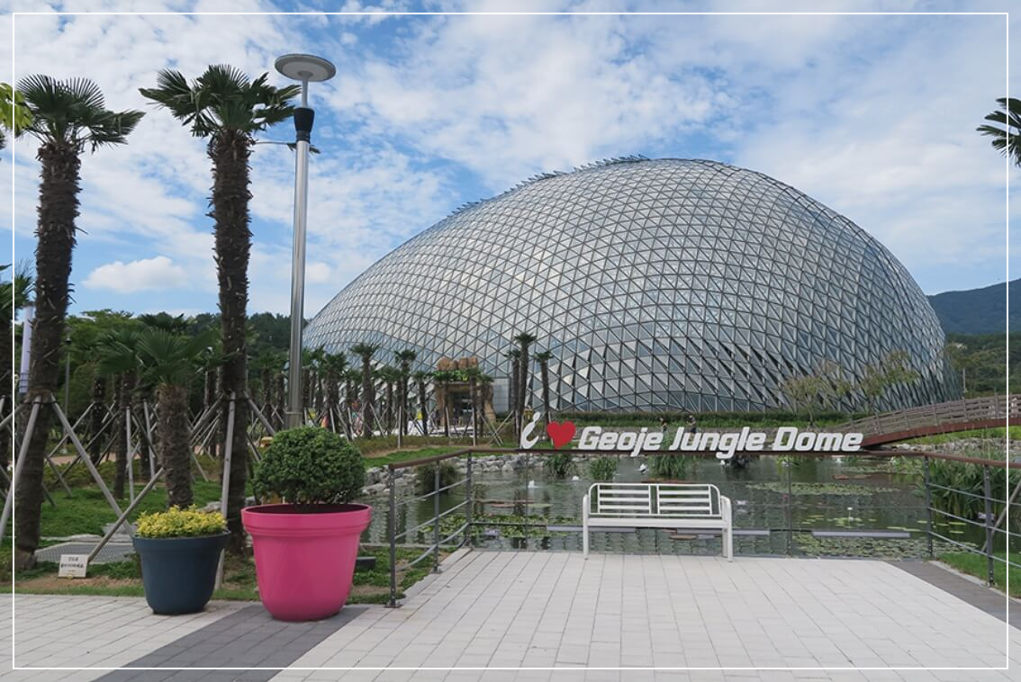 거제도 가볼만한곳 베스트10 거제식물원