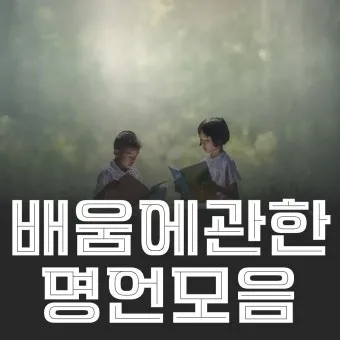 배움의 좋은 글 명언 글귀 모음 배움에 관한 명언으로_14