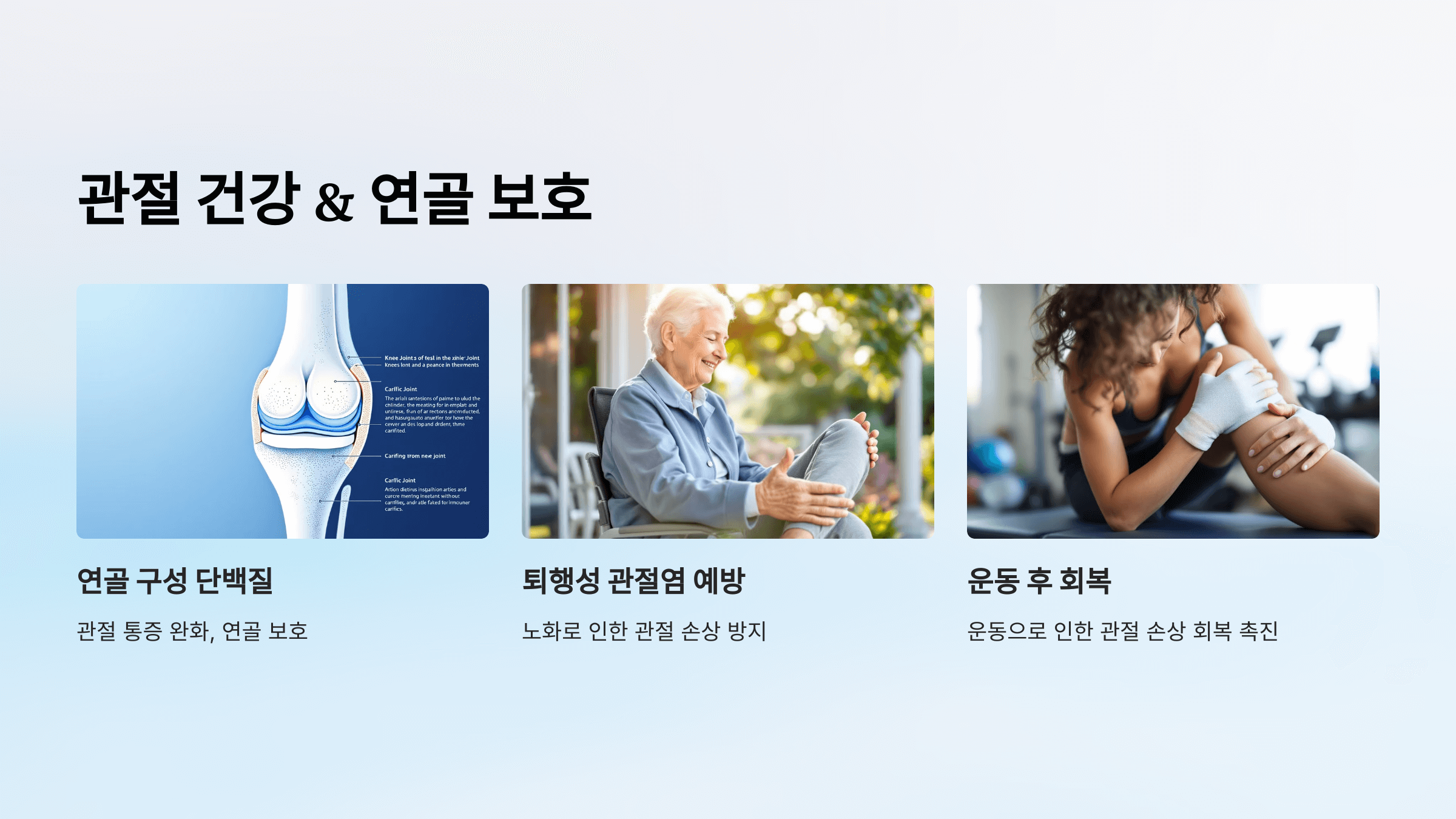 콜라겐과 관련된 사진입니다.