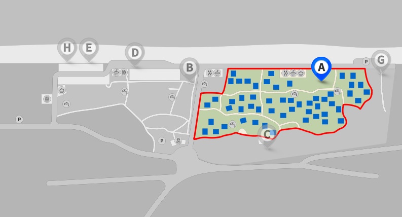 연곡 솔향기 캠핑장 예약