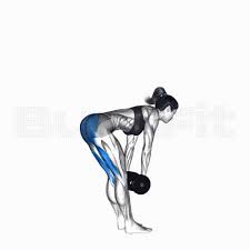 덤벨 데드리프트