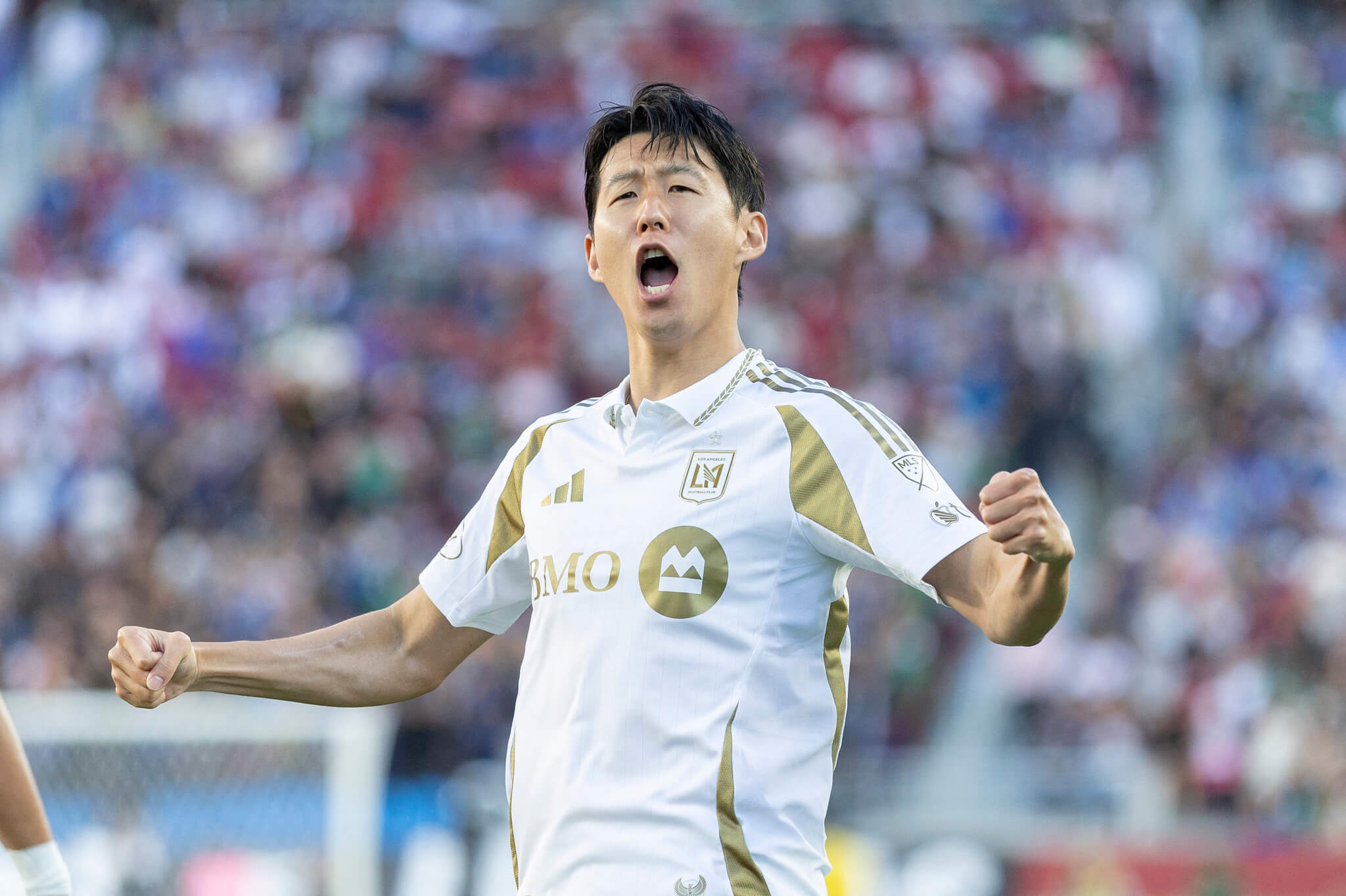 LAFC 손흥민