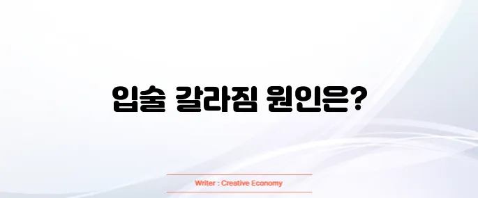 입술이 부르트는 이유