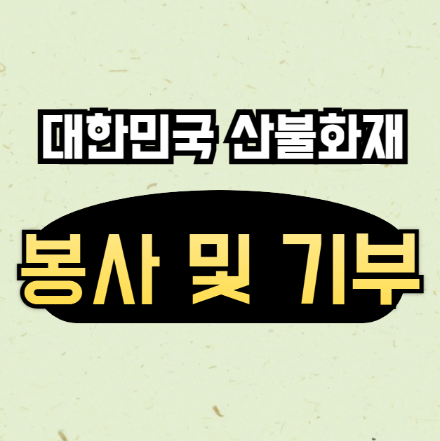 산불 봉사 및 기부 방법