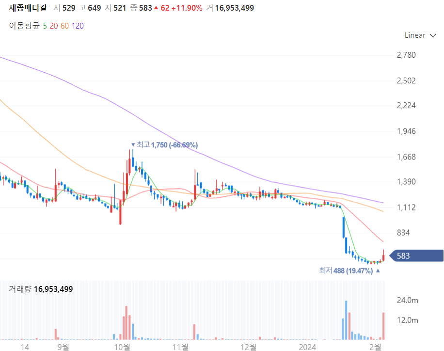 세종메디칼 주가차트