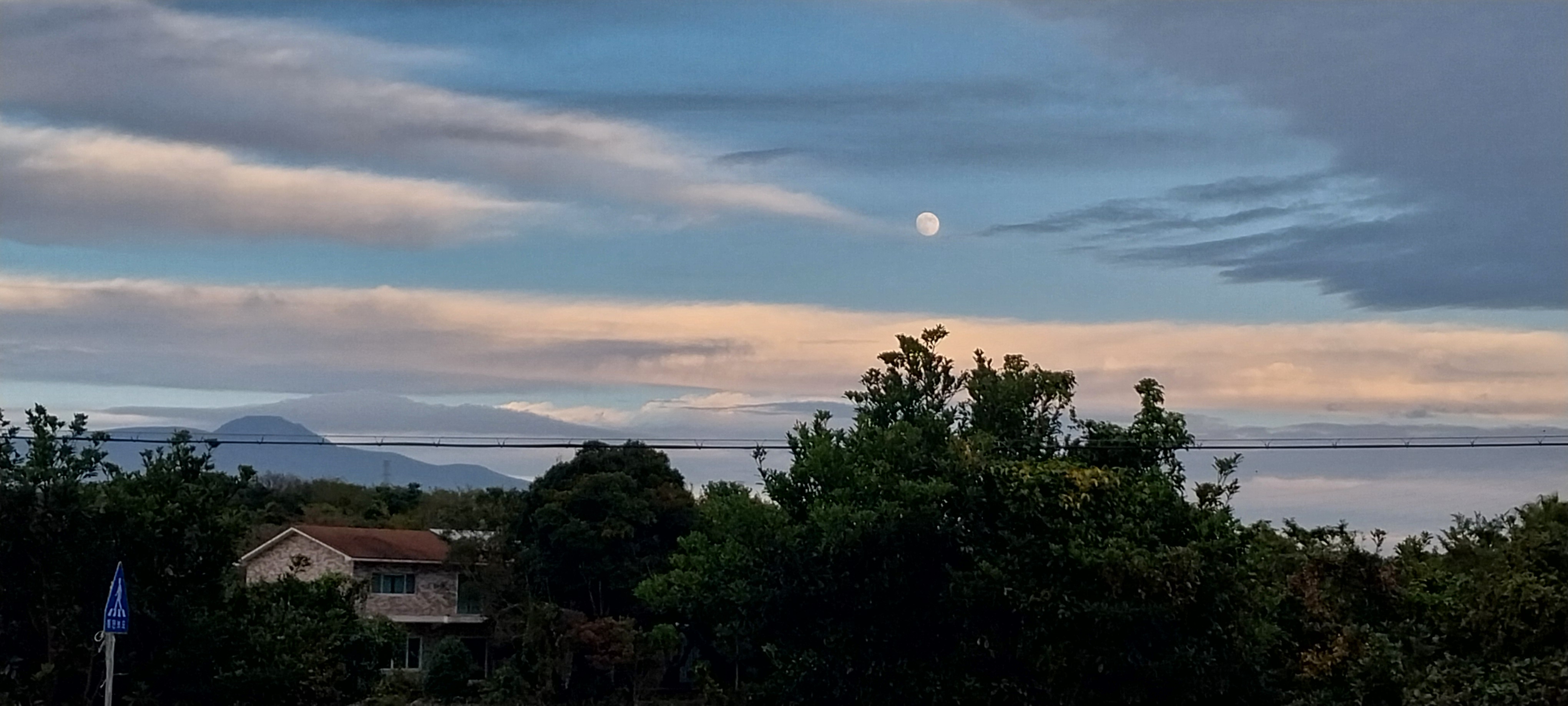 겨울바람 부는 아침 노을 배경의 억새