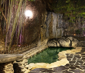 유성온천 호텔 폐업