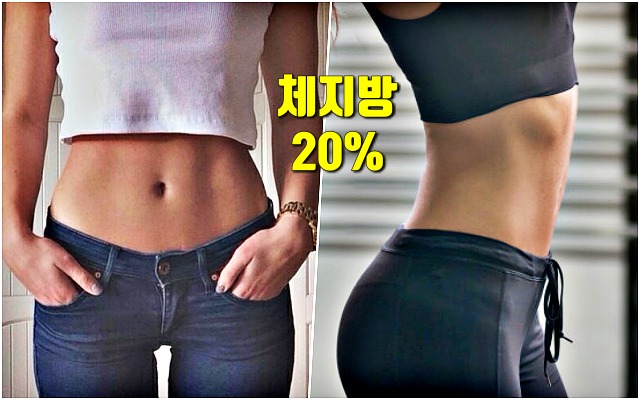 체지방 줄이는 운동,체지방 줄이기,팁줌