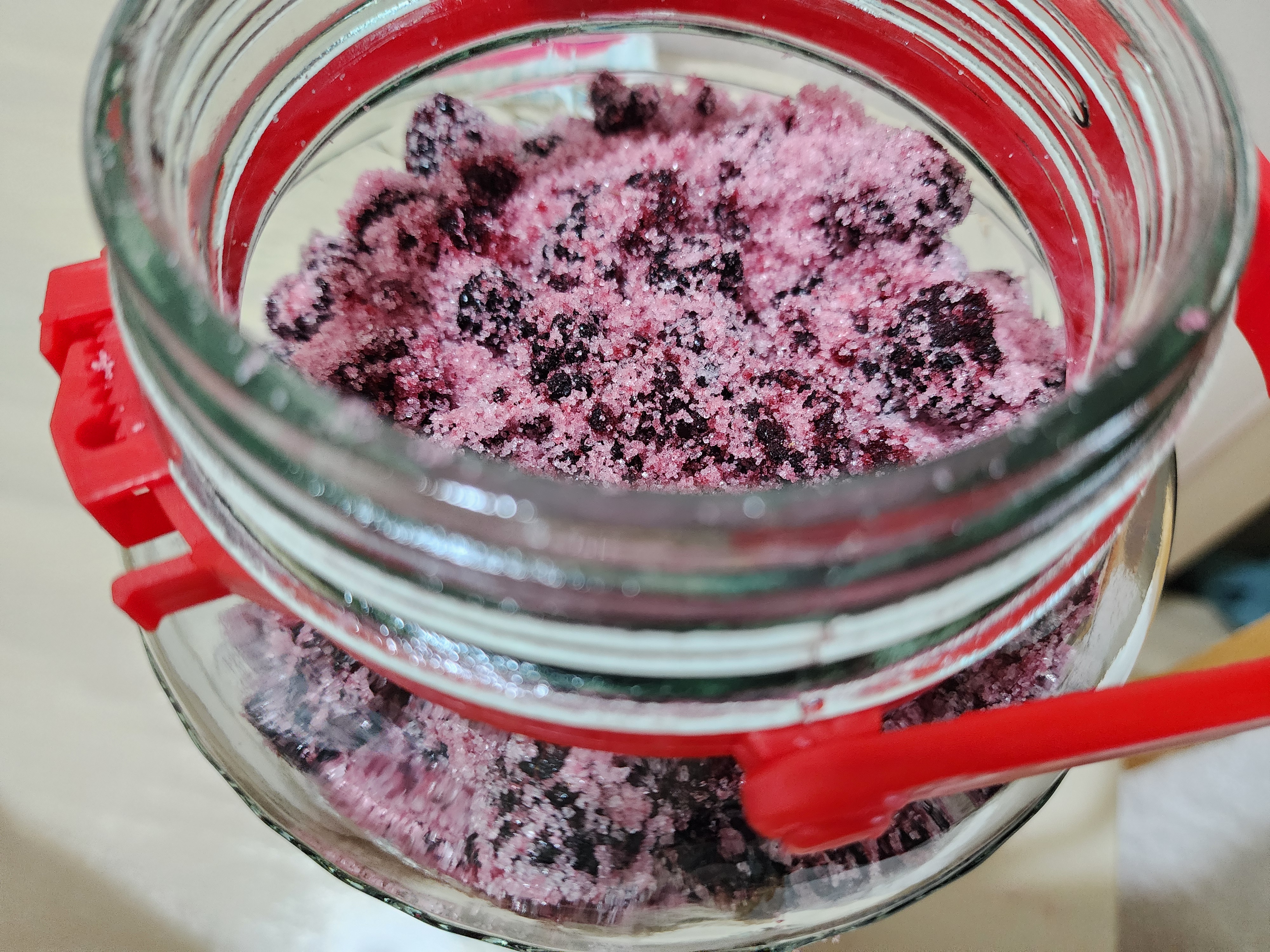 복분자청 만들기&amp;#44; 복분자청 먹는법