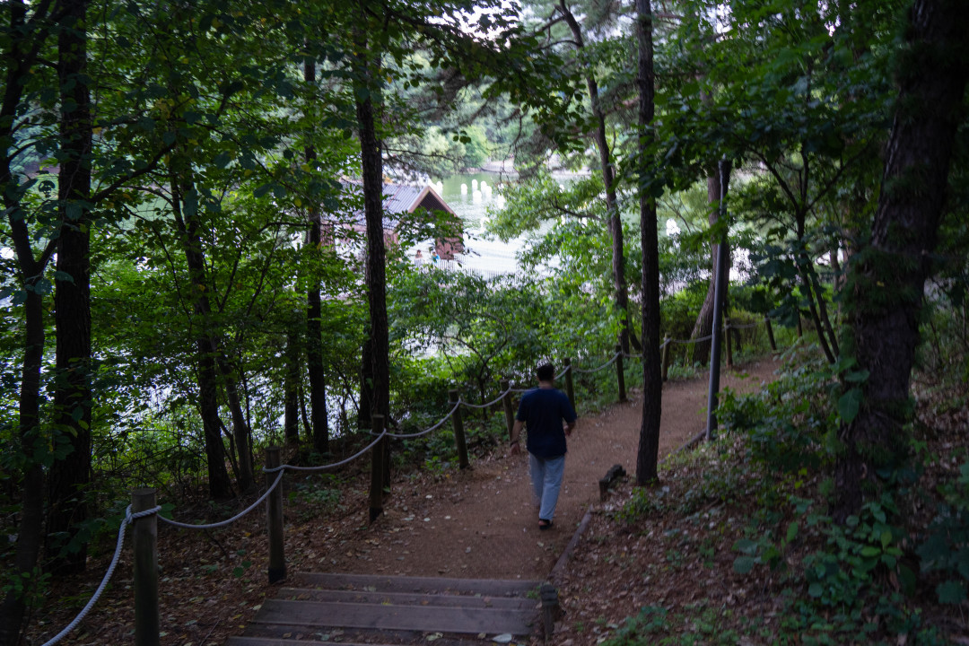신대호수 산책로