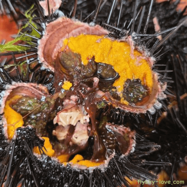 바다 향이 가득한 성게알