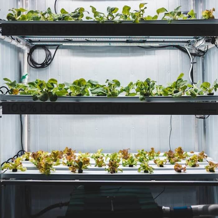 식물재배기추천