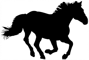 10월 띠별 운세 이달의 운세 월간운세 별자리운세