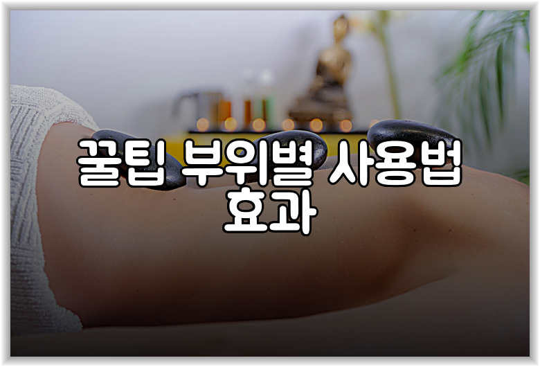 꿀팁 부위별 사용법 효과