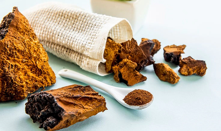 차가버섯 끓이는법