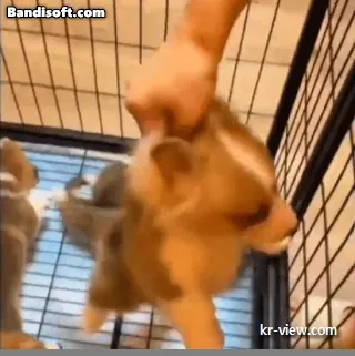 img.webp?credential=yqXZFxpELC7KVnFOS48ylbz2pIh7yKj8&expires=1767193199&allow_ip=&allow_referer=&signature=CTKImaEVNlYD8hAV2OAWt1OFlPc%3D