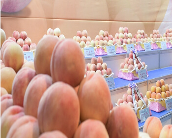 조치원 복숭아 축제_12