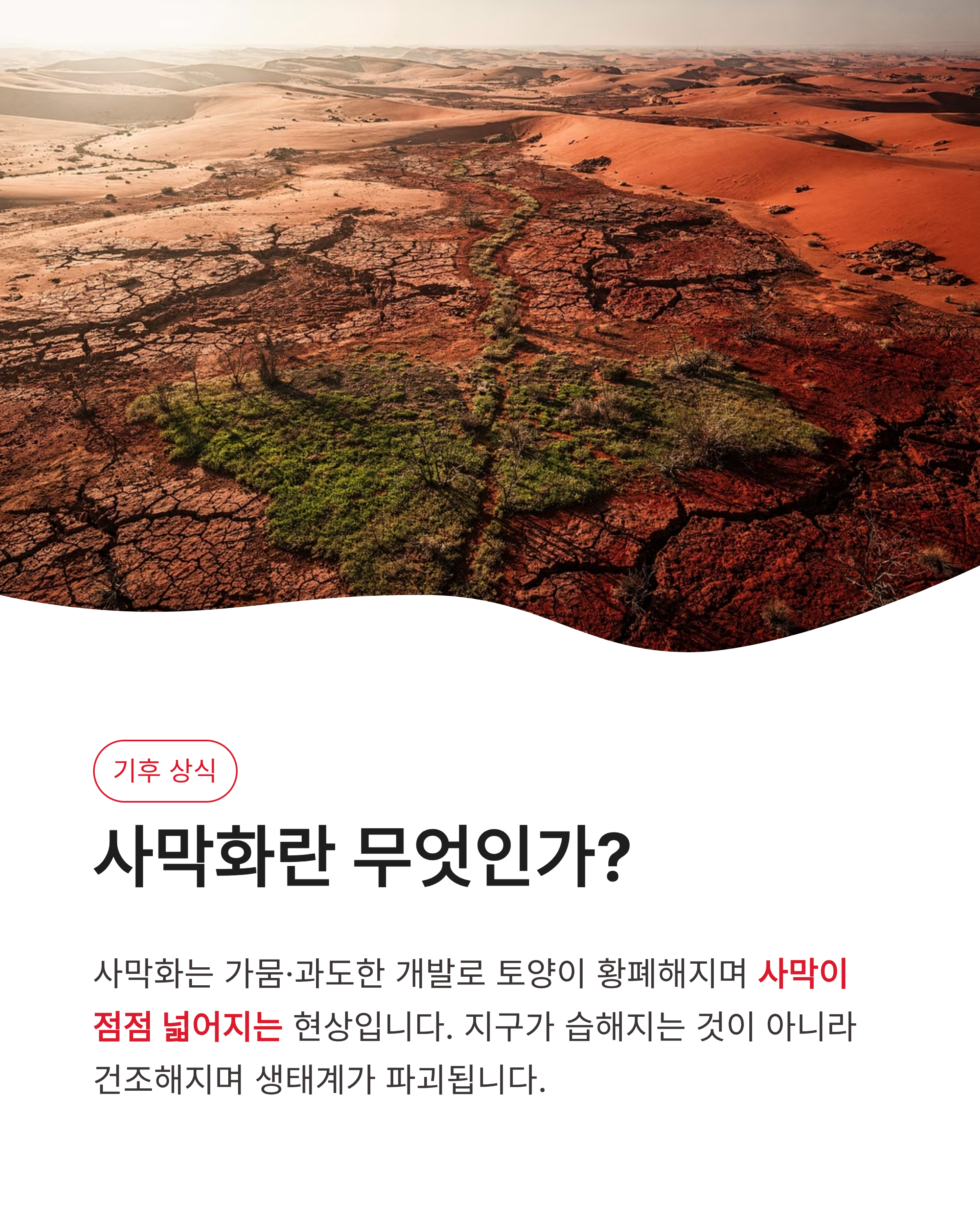 3월 26일 기후동행 퀴즈 정답 기후행동기회소득 리워드 포인트 싹쓸이하는 법!