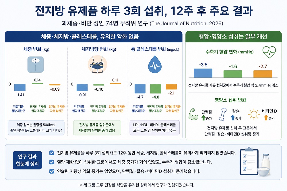 전지방 유제품 12주 섭취 연구의 주요 결과