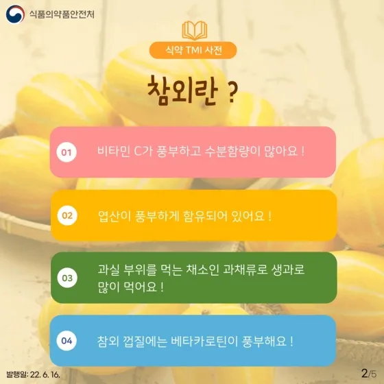 참외 효능 및 영양 정보 섭취 효과 정리_5