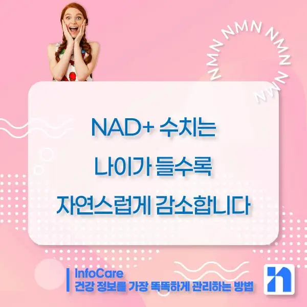 NMN 효능 효과 복용법