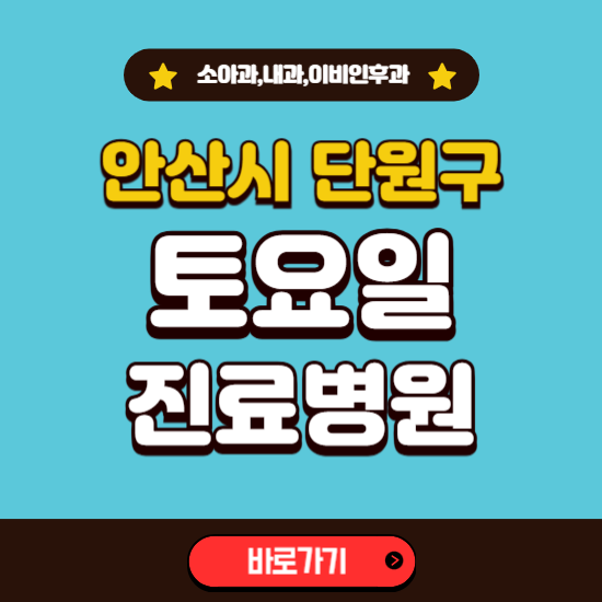 안산시 단원구 토요일 진료 병원 찾기 ❘ 주말 문여는 소아과, 내과, 이비인후과 리스트